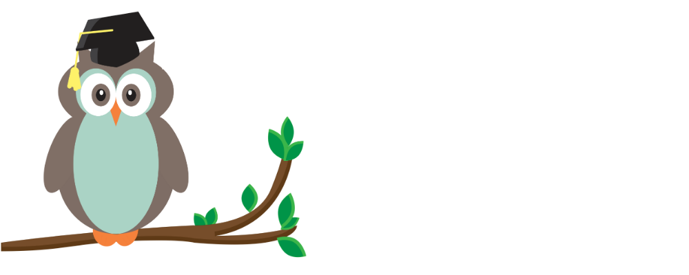 Homeschool Books for Sale