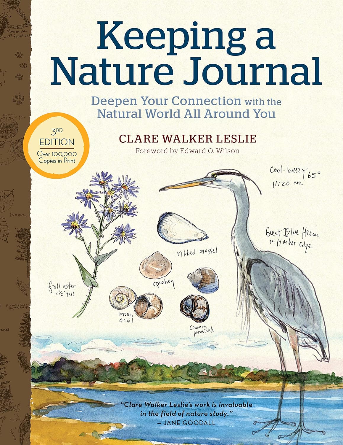 Keeping a Nature Journal